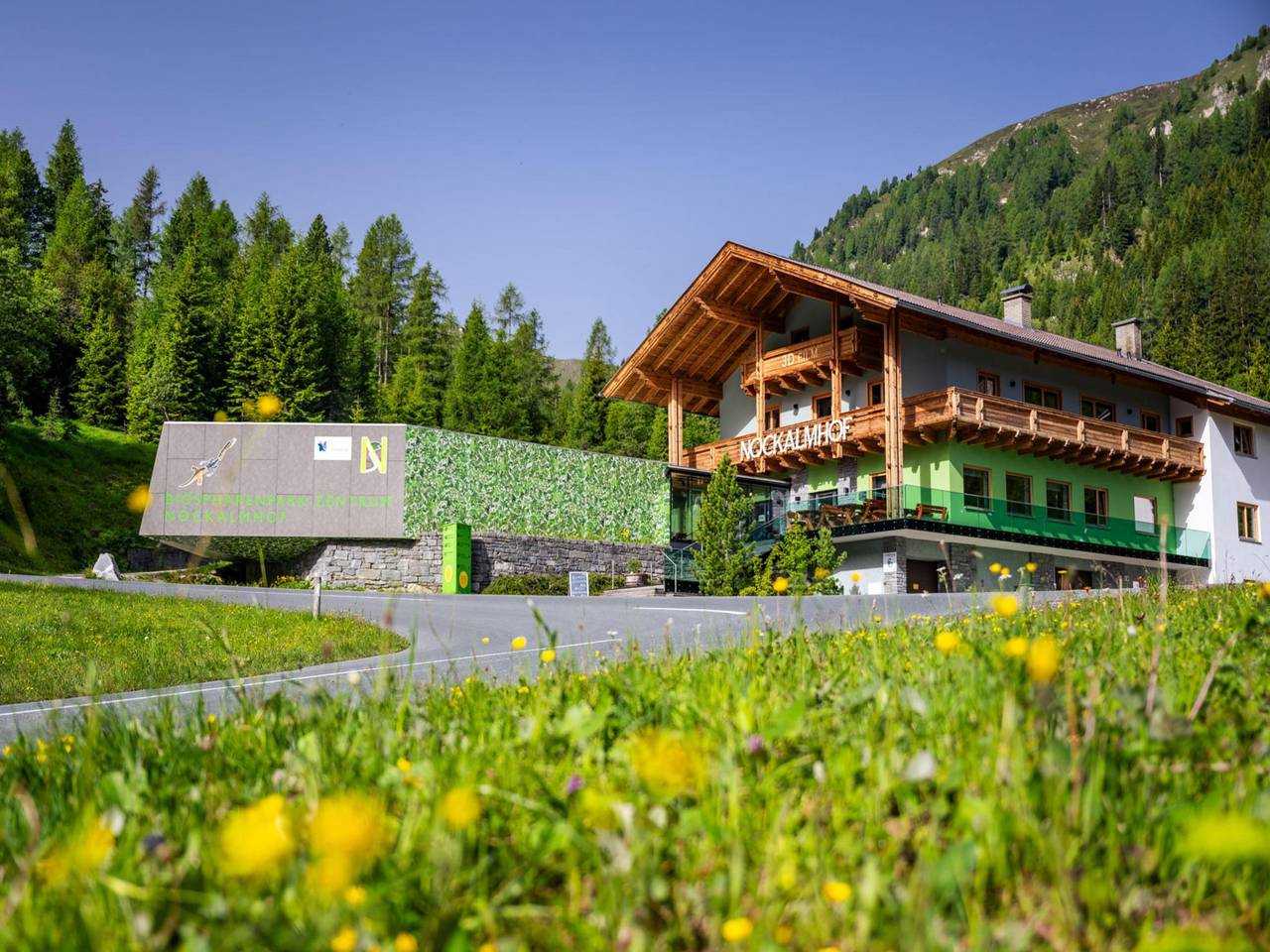 Appartement entier, Appartement de rêve à 1700 m d'altitude
 in Krems in Kärnten, Nockberge
