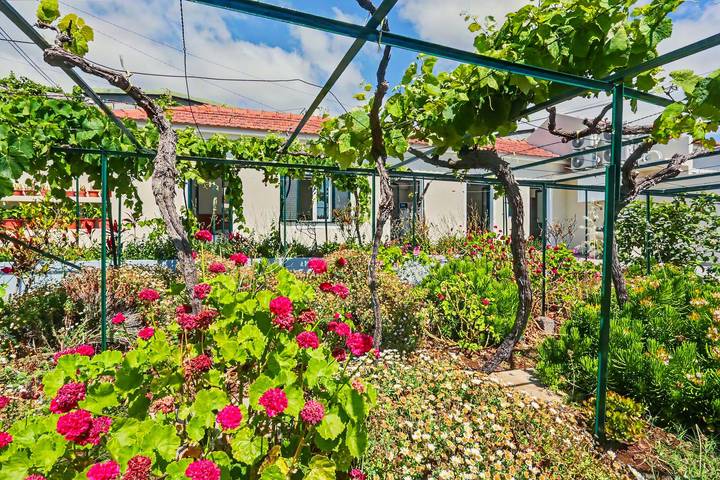 Chalet para 4 pessoas, com Jardim em Madeira