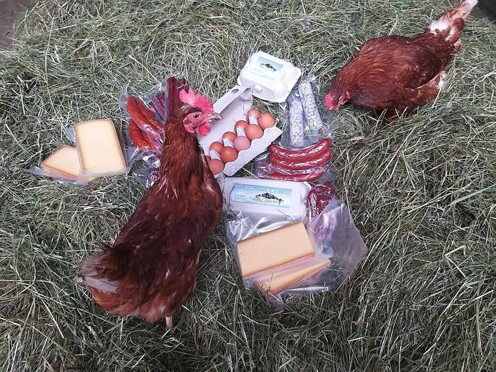 Ferienwohnung für 6 Personen, mit Terrasse und Garten in Österreich - 2