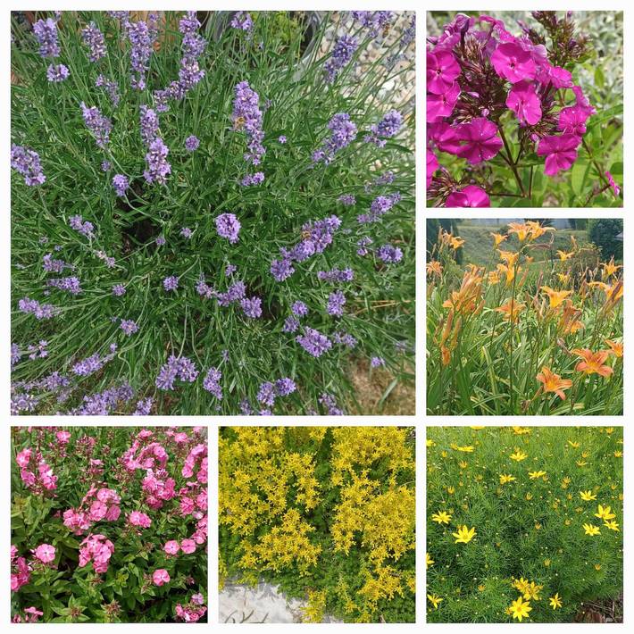 Ferienhaus für 4 Personen, mit Garten und Balkon in Sankt Oswald-Riedlhütte - 3