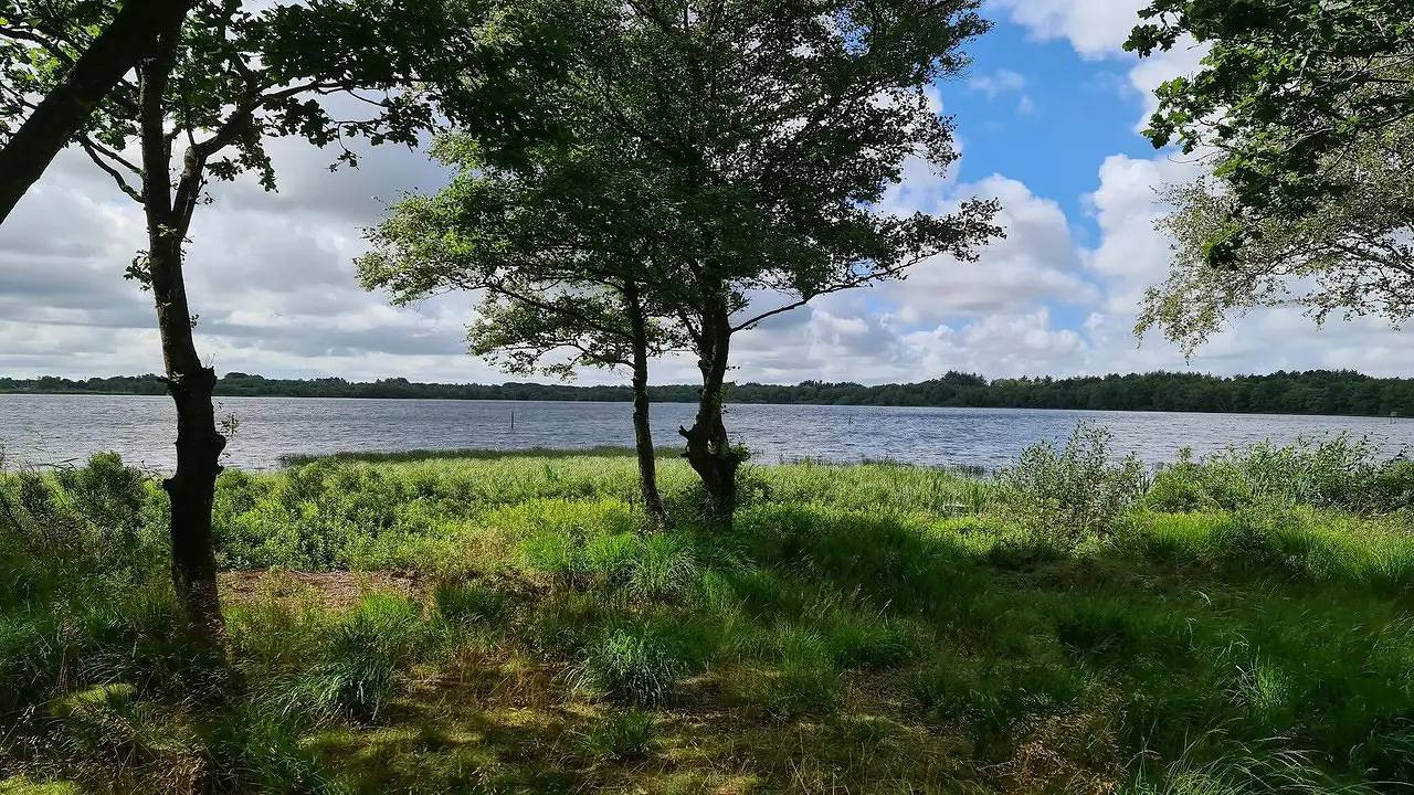 Ferienhaus für 4 Personen (48 m²) in Ansager in Ansager, Varde