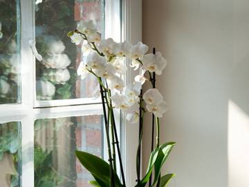 Ferienhaus für 5 Personen in Kampen (Sylt), Sylt, Bild 1