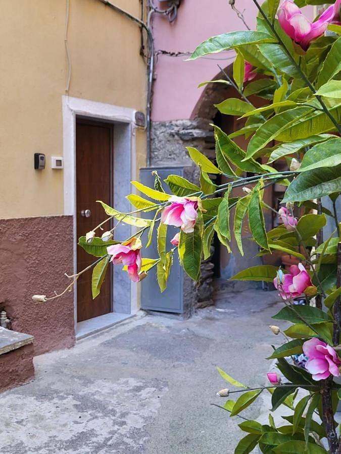 Maison d’hôte pour 3 personnes à Manarola - 4