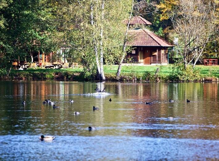 Ferienwohnung für 2 Personen, mit Garten und Balkon, mit Haustier in Ludwigswinkel - 2