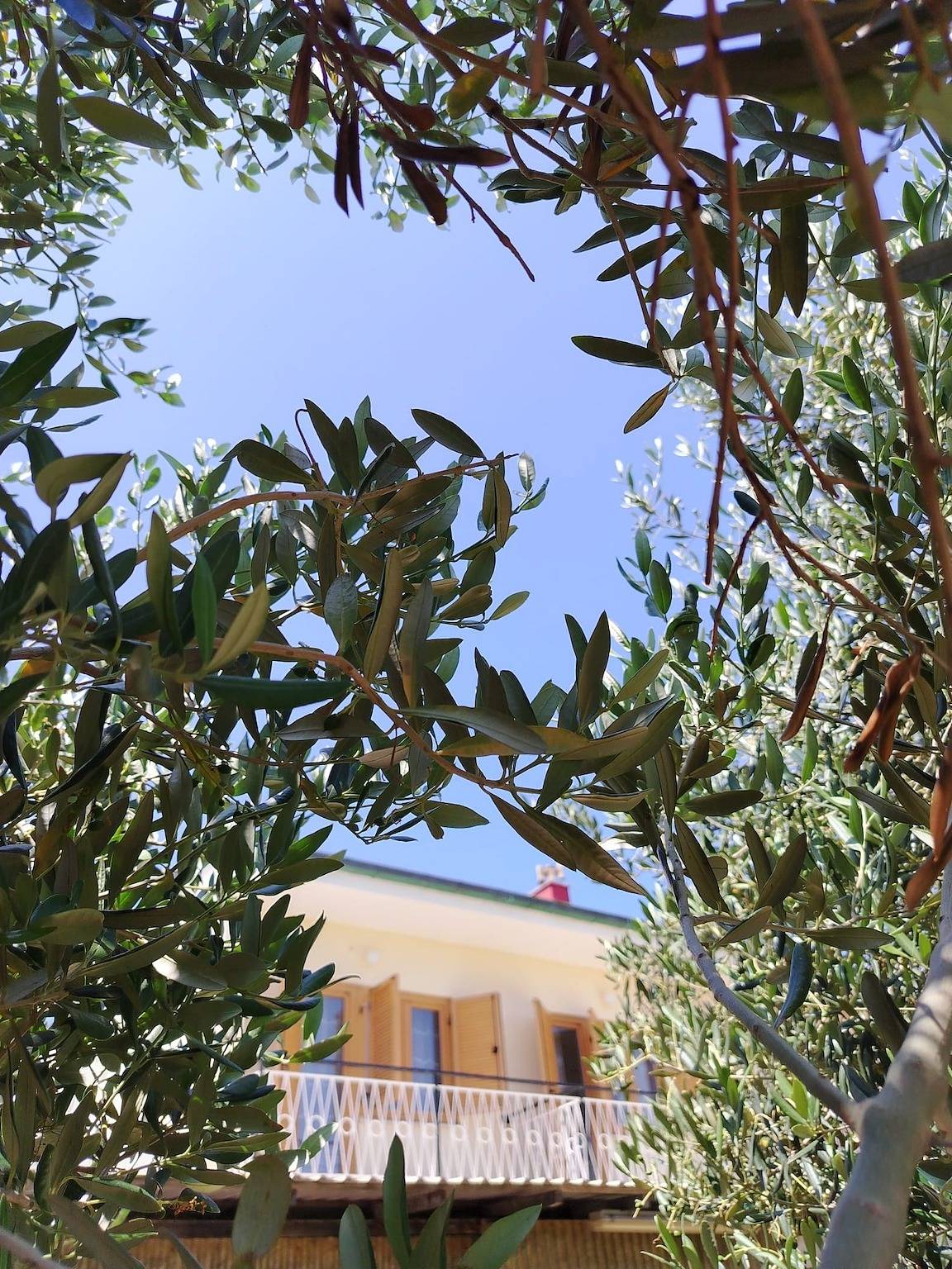 Cijeli apartman, Dvosobni apartman s terasom i pogledom na more Mali Lošinj, Lošinj A-24690-a in Mali Lošinj, Lošinj (Kvarnerski zaljev)