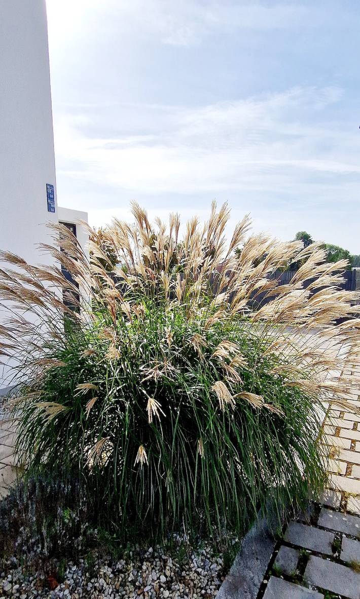 Ferienhaus 'Haus Viva La Vida' mit privater Terrasse, Garten und Wlan in Pilsting, Ostbayern