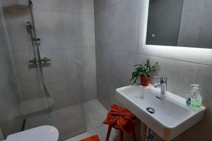 Bird apartment/1 bedroom/shower, toilet - organic farm Vorderfromm in Werfenweng, Tennengau