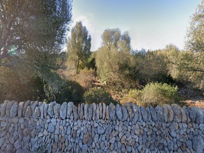 Finca für 6 Personen, mit Pool und Garten, mit Haustier in Ses Salines - 3