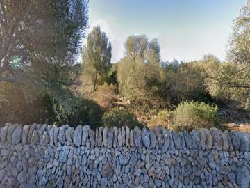 Ferienhaus für 6 Personen in Ses Salines, Mallorca Süden, Bild 2
