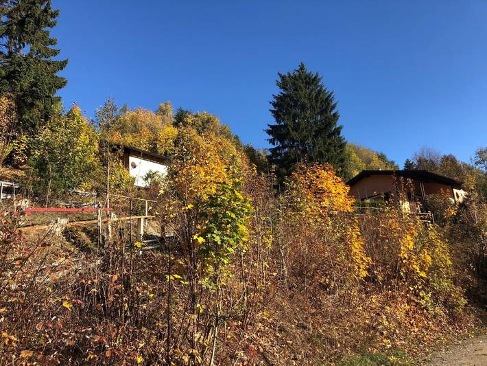 Ferienhaus für 5 Personen, mit Garten in Braunlage - 3