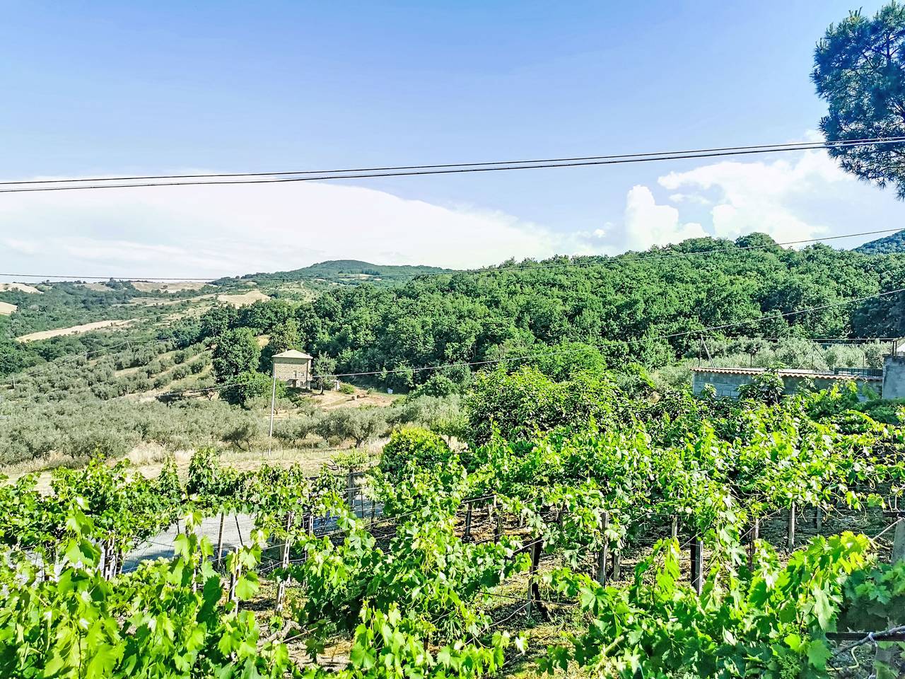 Appartamento intero, Il casolare di Campagna - Piano terra in Archi, Provincia di Chieti