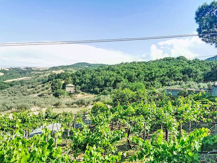 Appartement entier, Il casolare di Campagna - Piano terra in Archi, Province de Chieti