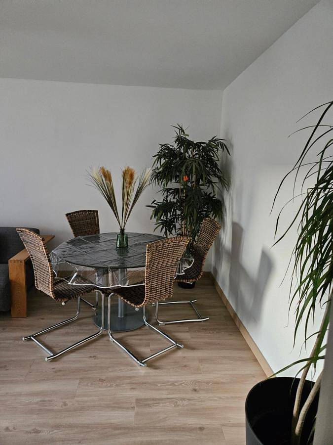 Gîte pour 3 personnes, avec terrasse à Riedisheim - 2