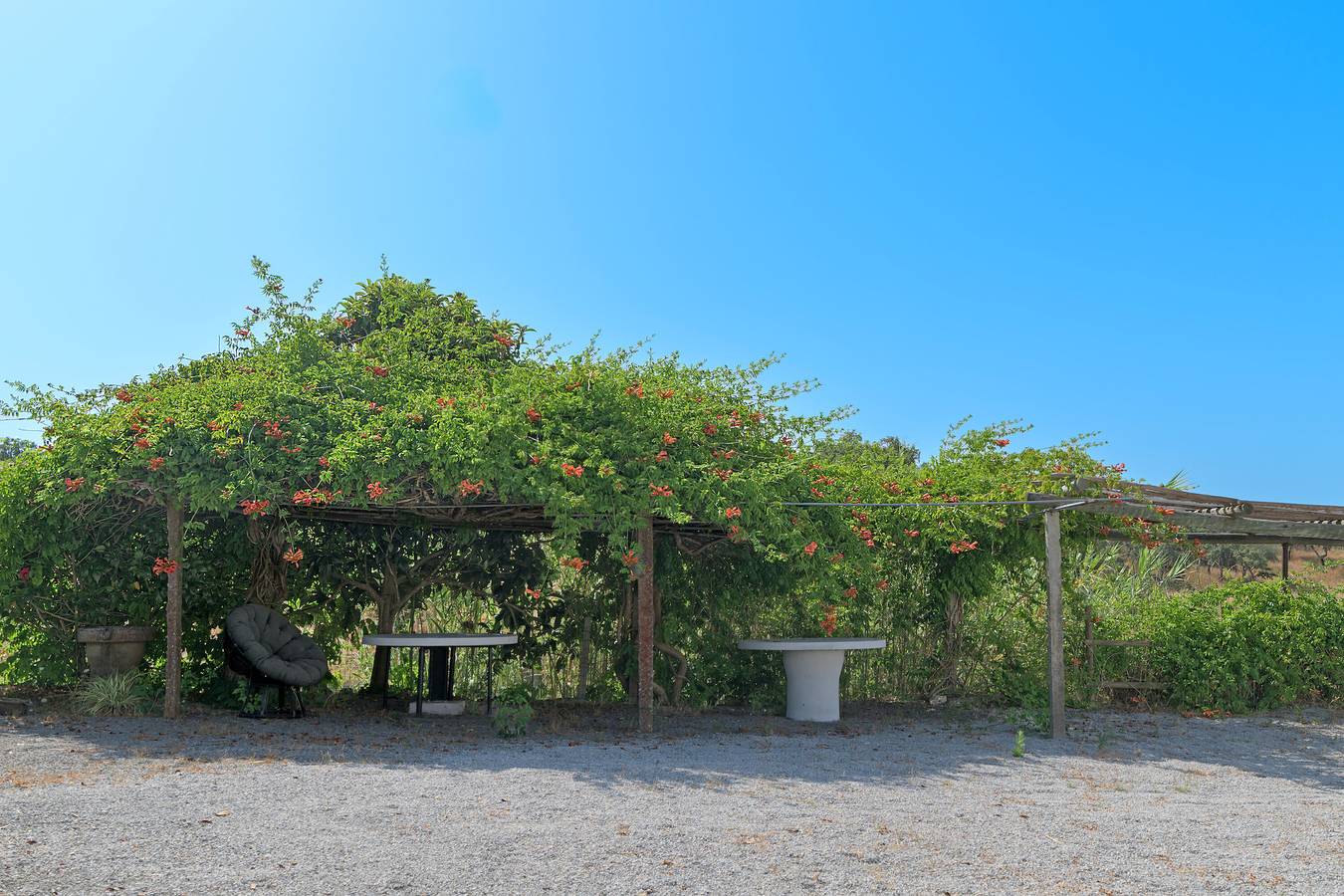 Finca 'Quinta Da Corte' mit privatem Garten, Balkon und Wi-Fi in São Francisco da Serra, Costa Alentejana