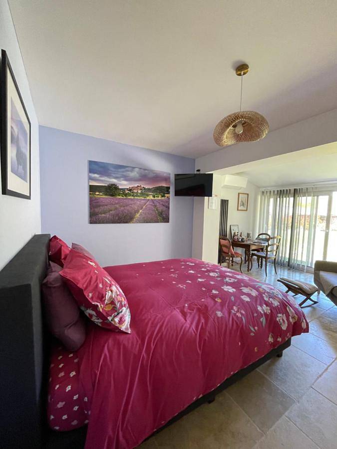 Gîte pour 2 personnes, avec jacuzzi ainsi que jardin et piscine à Anthé - 4