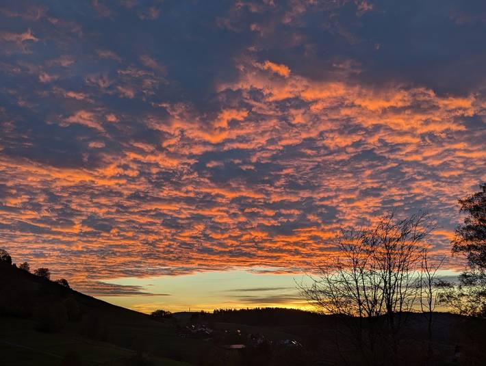 Ferienwohnung für 5 Personen, mit Garten und Ausblick in Schopfheim - 4
