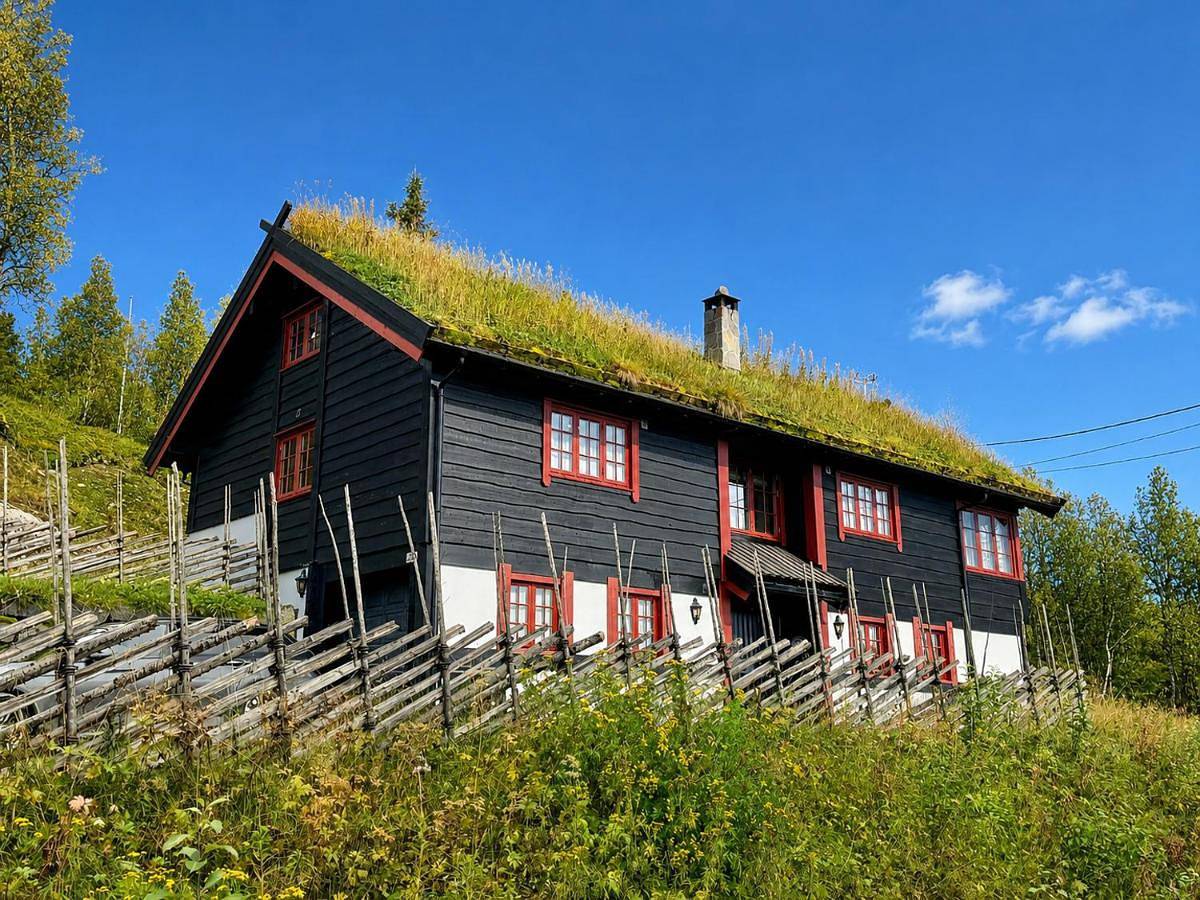 Spacious cabin with beautiful Geilo views in Geilo, Hol