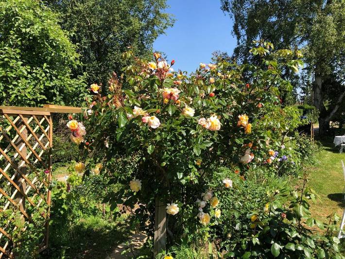 Gîte pour 3 personnes, avec terrasse et vue ainsi que sauna et jardin à Bois-Jérôme-Saint-Ouen - 4