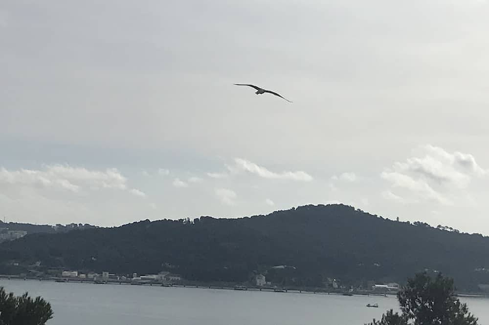 Appartement entier, French Riviera, Luxe , Calme & Fantastique vue, Colline de Tamaris ! in La Seyne-sur-Mer, Région de Toulon