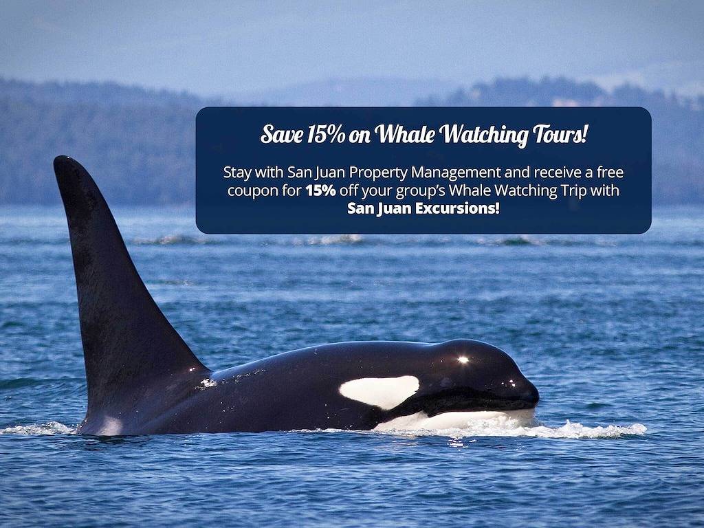 Ganze Wohnung, San Juan Suites - High Seas! in Friday Harbor, San Juan Island