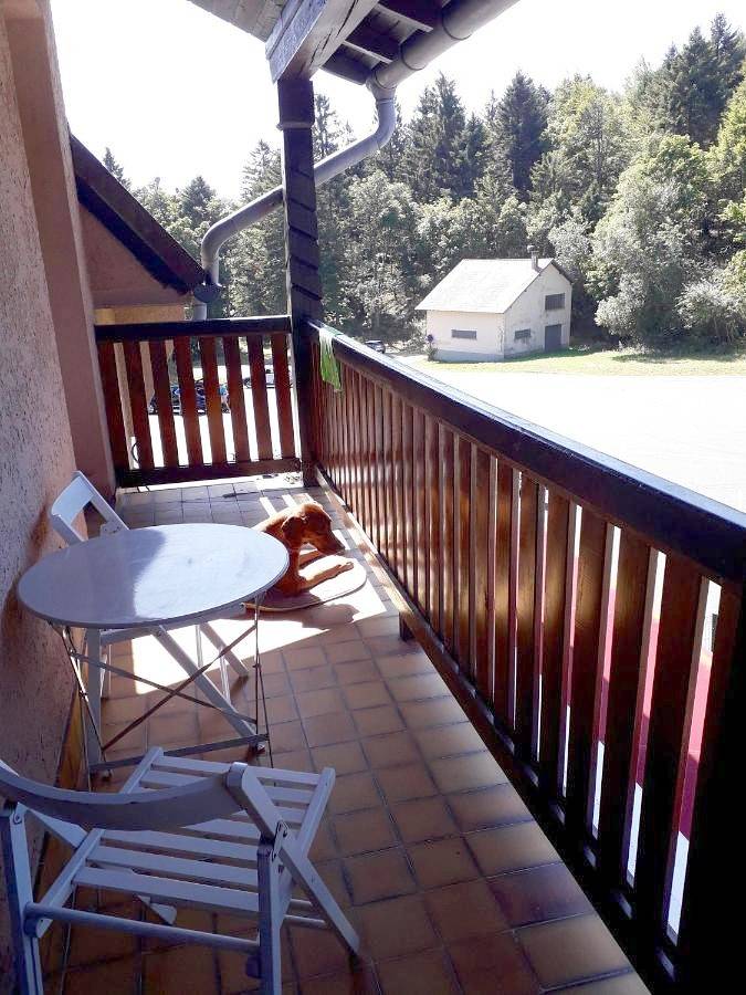 Gîte pour 6 personnes, avec terrasse et vue, animaux acceptés à Breitenbach - 3
