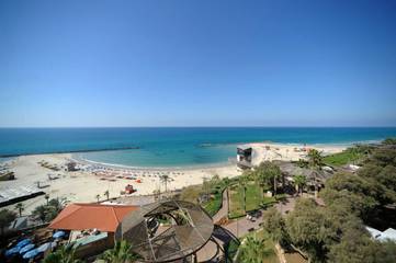 Hôtel pour 3 personnes, avec terrasse, animaux acceptés à Netanya