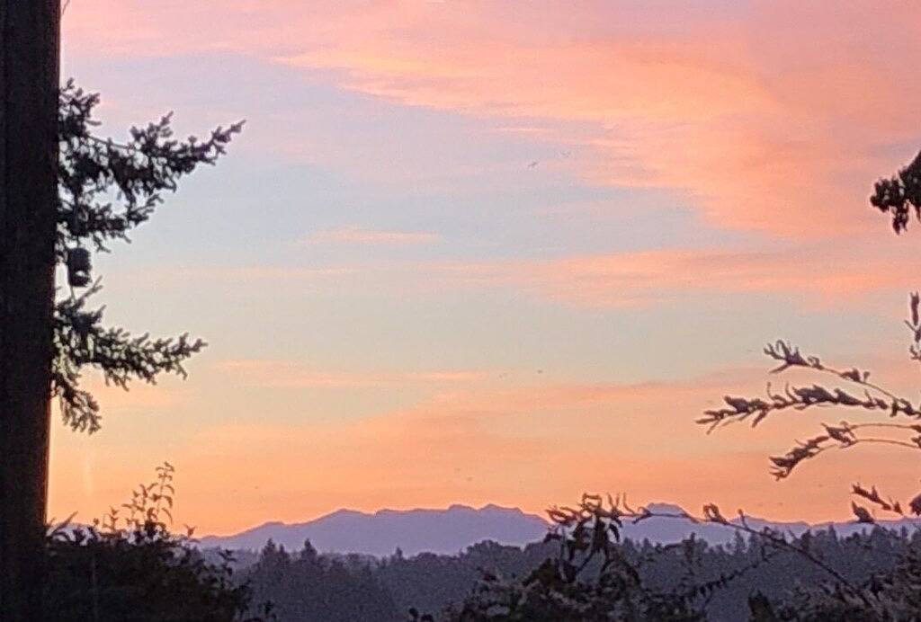 Ganze Wohnung, The Suburban Farmhouse\" where old meets new. in Bothell, Lake Washington