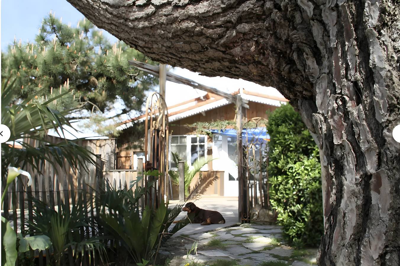 Villa « Cap Ferret » con terraza compartida, jardín privado y Wi-Fi in Lège-Cap-Ferret, Region de Arcachon