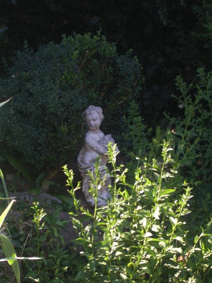 Chambre d’hôte pour 2 personnes, avec jardin dans Parc naturel régional des Volcans d'Auvergne - 4