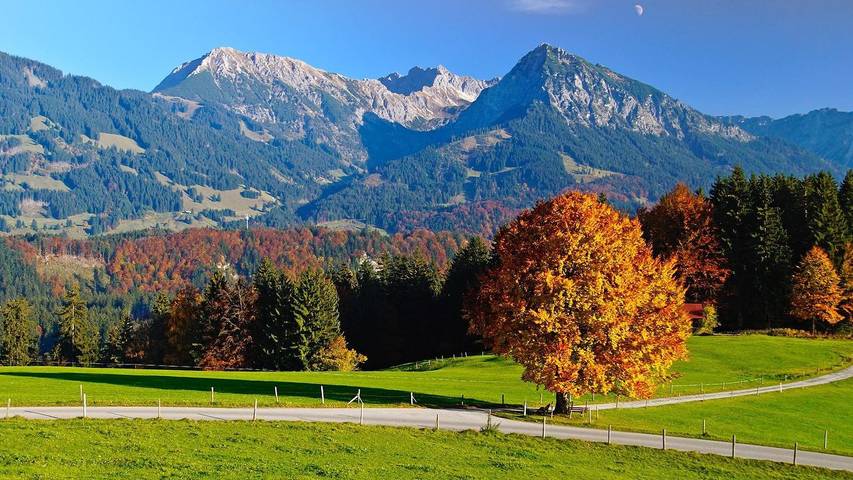 Ferienwohnung für 2 Personen, mit Garten im Oberallgäu - 3