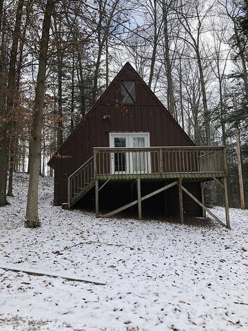 Log Cabin for 6 Guests in West Virginia, USA, Picture 1