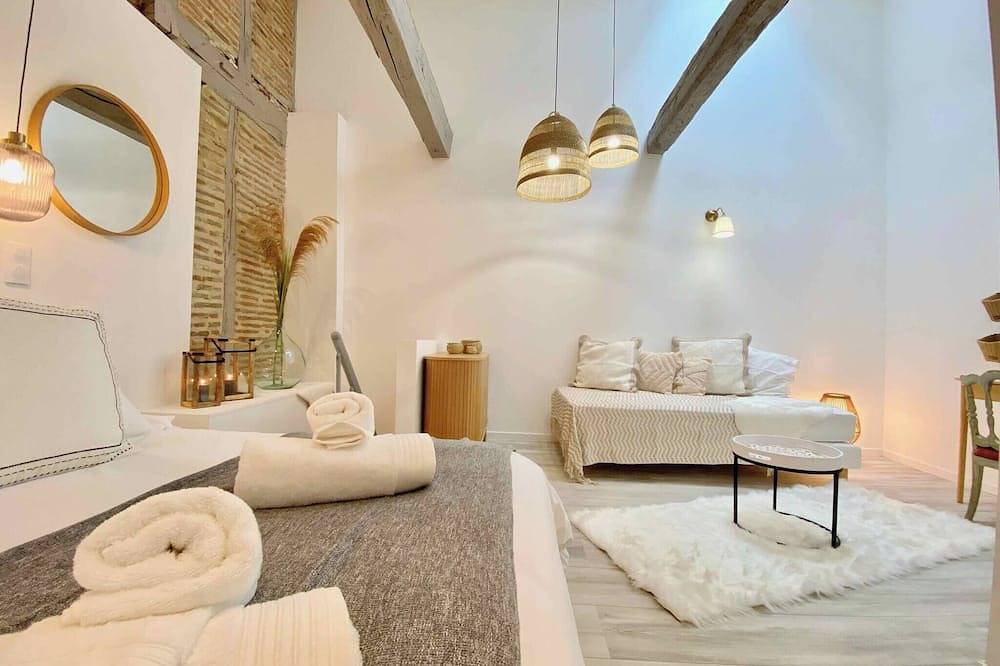 Entire apartment, La Parenthèse Occitane - Downtown - Netflix in Castres, Castres region