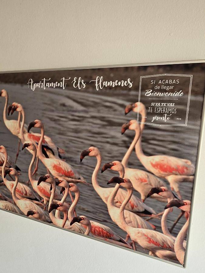 Gîte pour 5 personnes, avec piscine et terrasse dans Els Muntells - 2