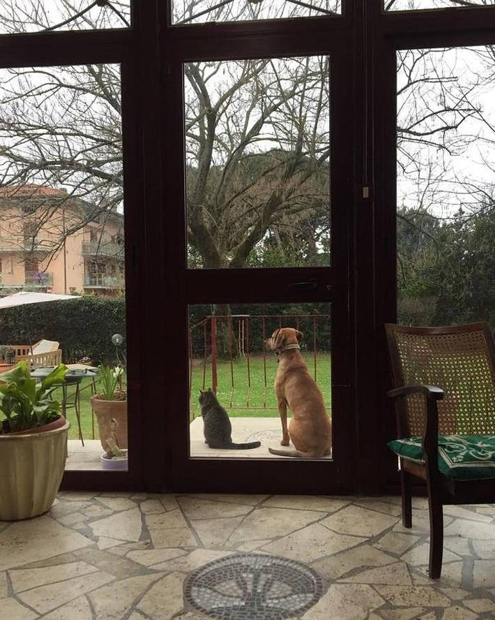 Gîte pour 4 personnes, avec jardin à Carrare - 3