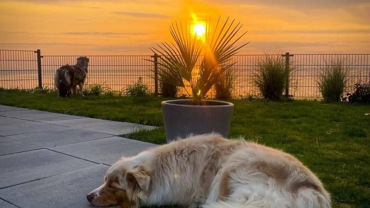 Ferienhaus für 4 Personen (70 m²) in Gemeente Enkhuizen in Enkhuizen, Ijsselmeer