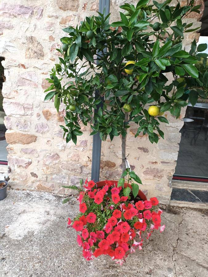 Double Room with Garden View in Sainte-Suzanne, Mayenne