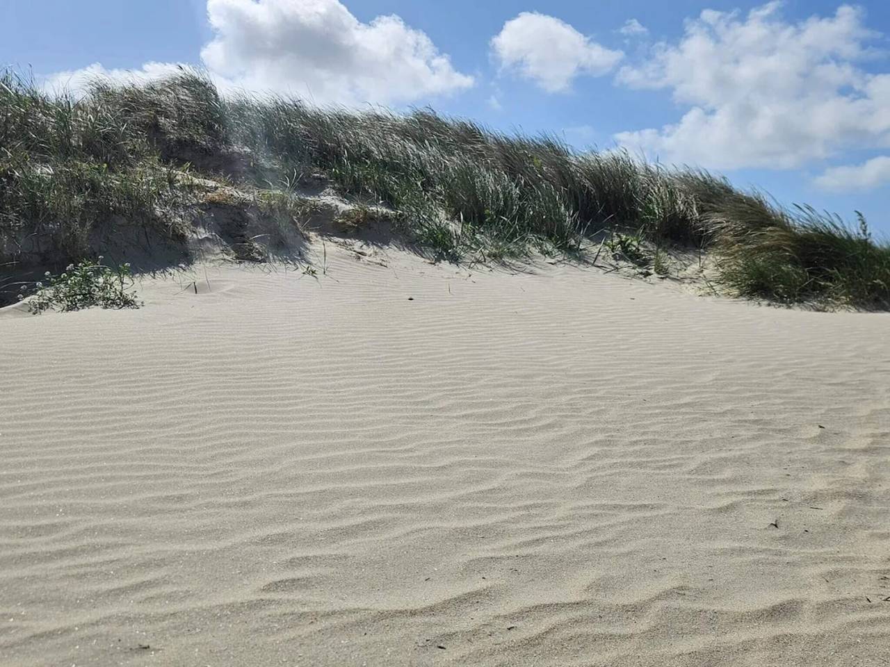 5 persoons vakantie huis in Fanø in Nordby, Fanø