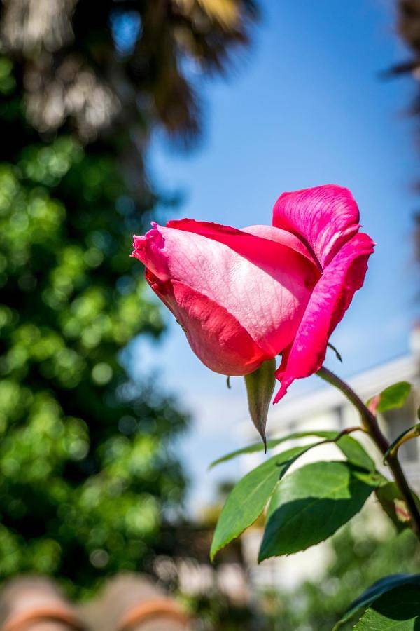 Ferienhaus mit Meerblick für 18 Personen, mit Ausblick und Garten in Poreč - 4