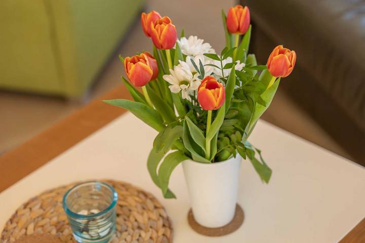 Ferienhaus für 6 Personen, mit Sauna und Balkon, mit Haustier in Mönchgut-Granitz - 4