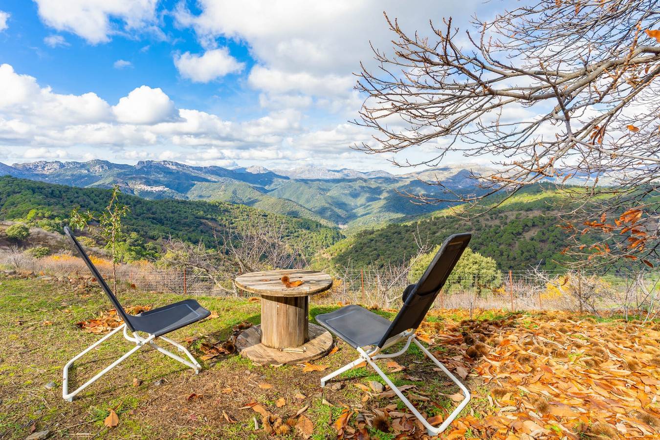 Cabane 'Oropéndola' avec vue sur la montagne, piscine partagée et terrasse privée in Jubrique, Province de Málaga