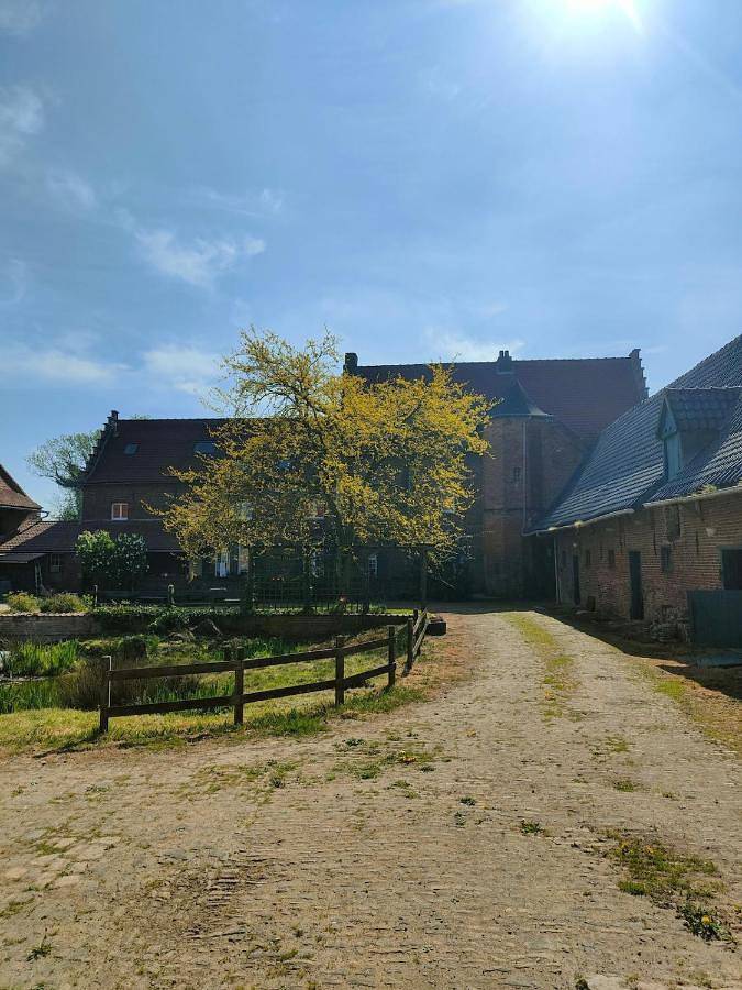 Gîte pour 6 personnes à Morbecque - 3