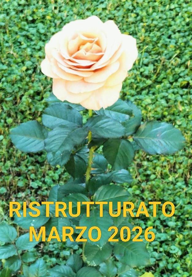 Vakantiewoning voor 3 personen, with terras and uitzicht as well as tuin in Vada