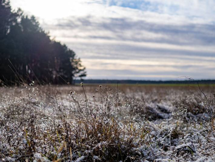 Ferienhaus für 4 Personen, mit Garten, kinderfreundlich in Elster & Umgebung - 2