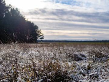Bauernhof für 4 Personen in Herzberg (Elster), Elster & Umgebung, Bild 1