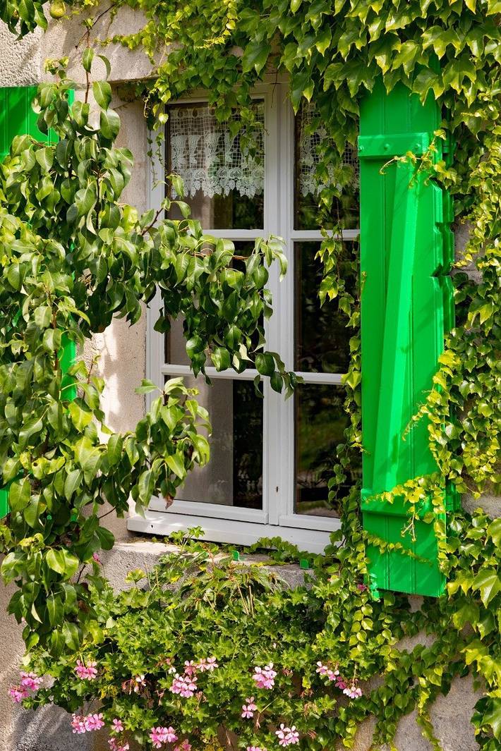 Chambre d’hôte pour 3 personnes, avec Balcon ainsi que Terrasse et Jardin dans les Vosges - 3