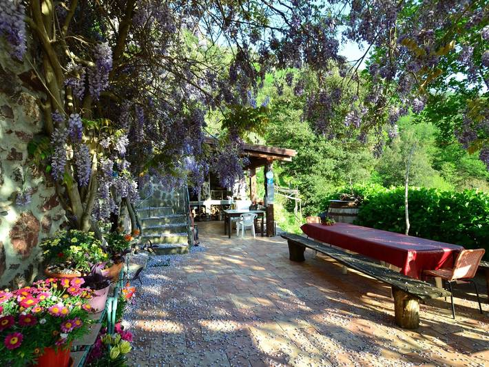 Bungalow en Sestri Levante, cerca del bosque y el mar in Casarza Ligure, Riviera di Levante