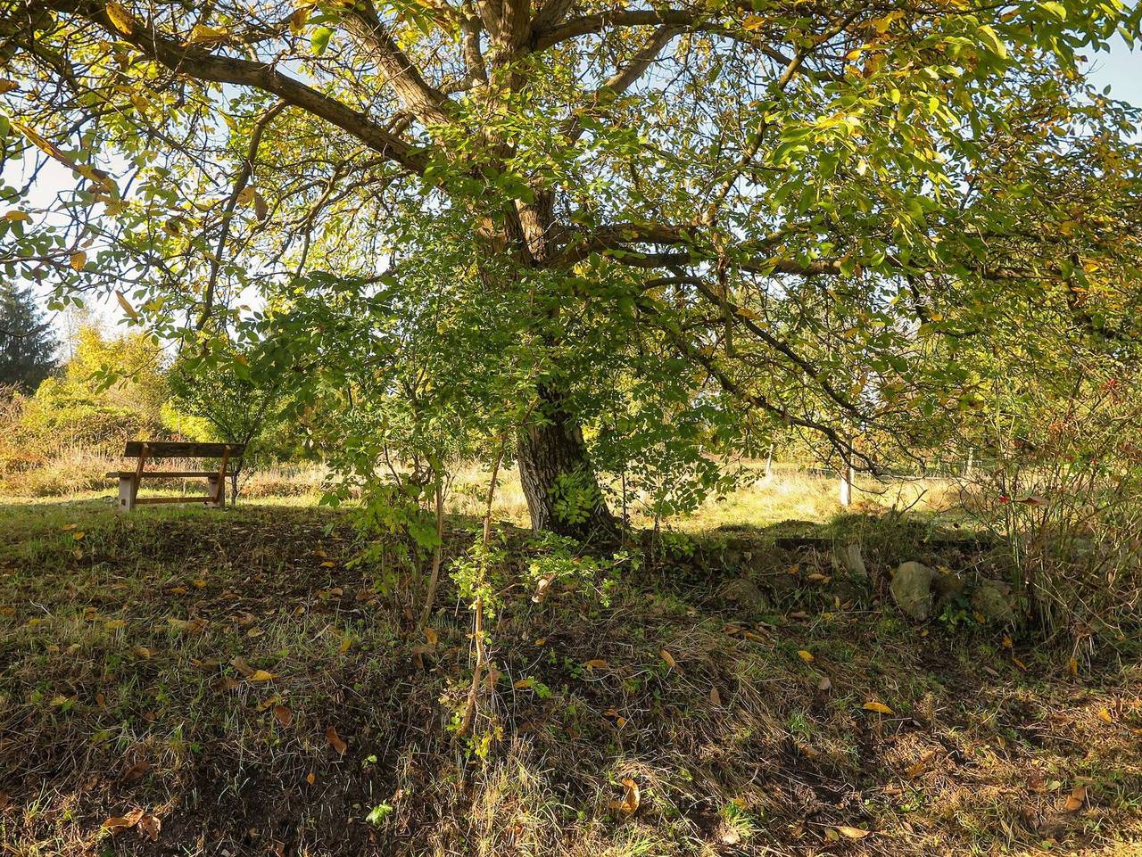 Ganze Ferienwohnung, Ferienhaus Steutz in Zerbst/Anhalt, Elbe-Börde-Heide