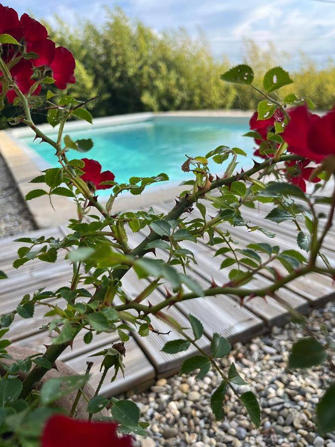Cottage pour 2 personnes, avec vue et piscine ainsi que terrasse et jardin à Villemoustaussou
