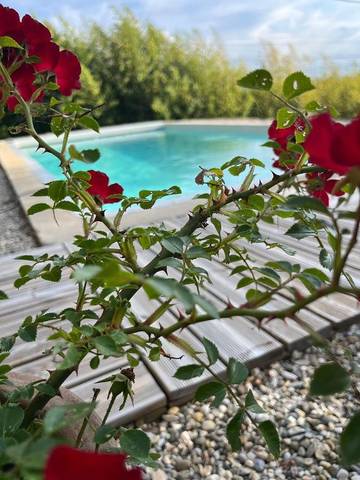 Chambre d’hôte pour 2 personnes, avec terrasse et jardin ainsi que vue et piscine dans Minervois