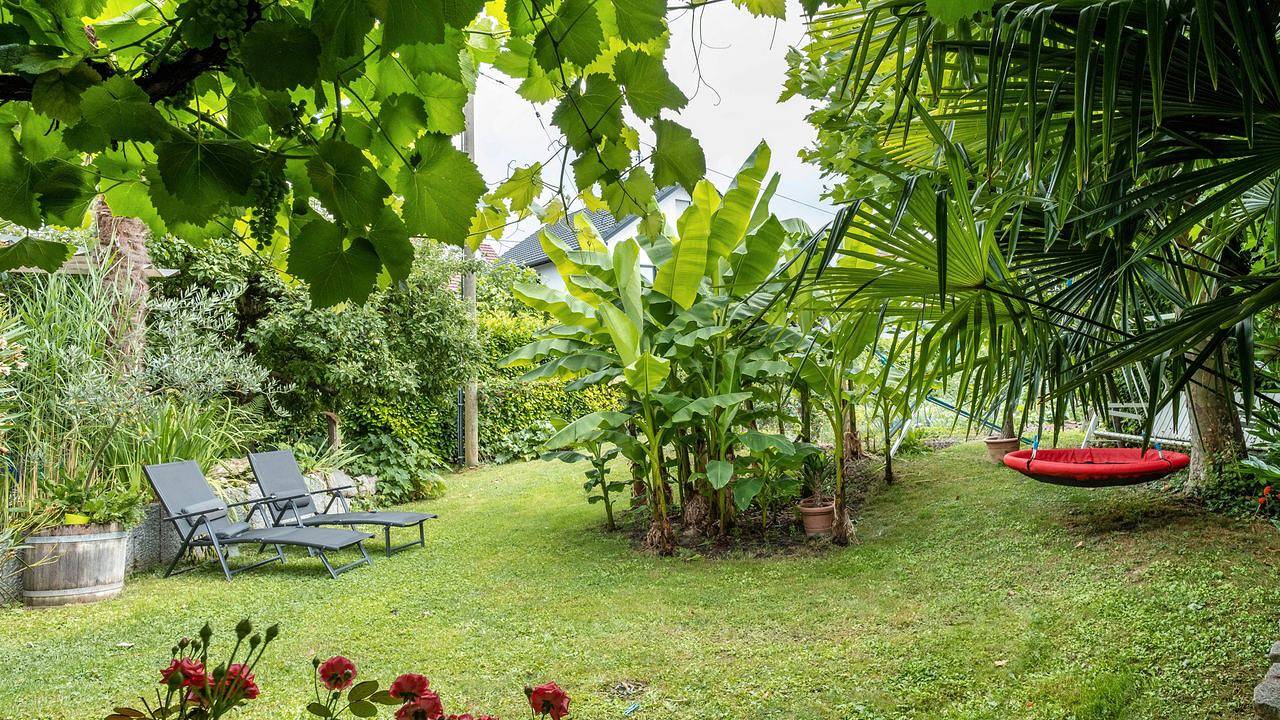 Doppelzimmer für 2 Personen in Ihringen in Ihringen, Kaiserstuhl